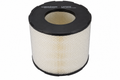 LUBER-FINER LAF2536 Luberfiner LAF2536 Radial Seal Air Filter